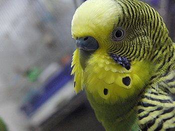 f0196665_23362618.jpg