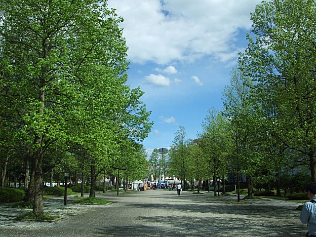 a0015766_2327512.jpg