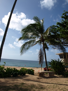 c0102268_3265630.jpg