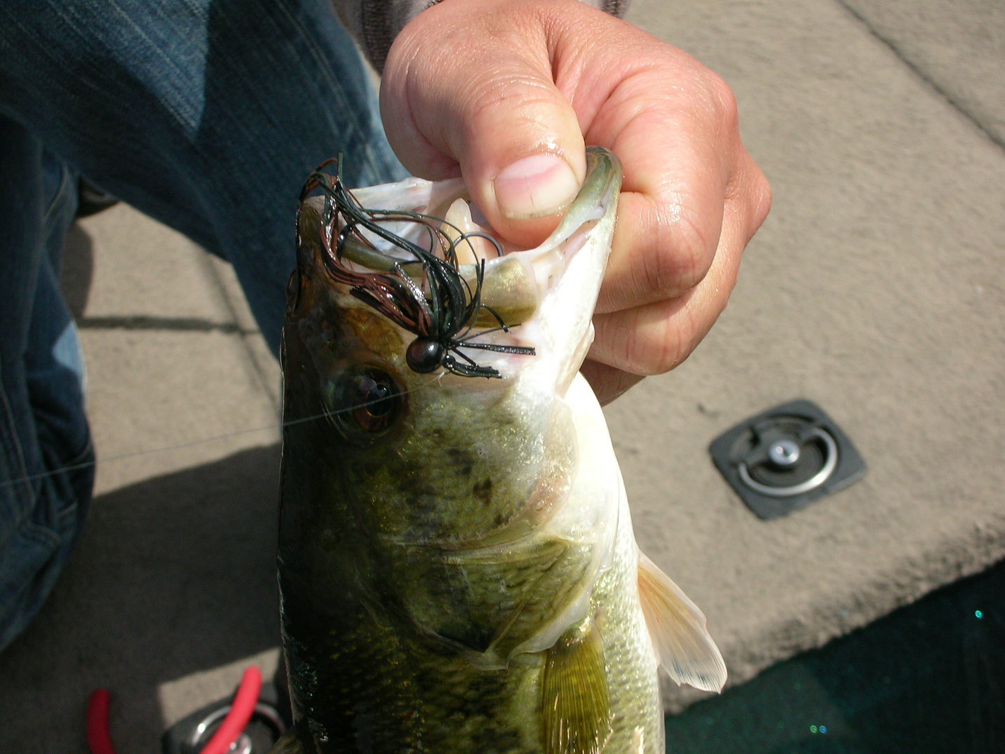 f0186368_17165965.jpg