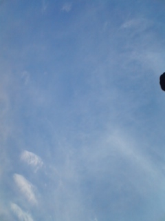 f0207969_12453910.jpg