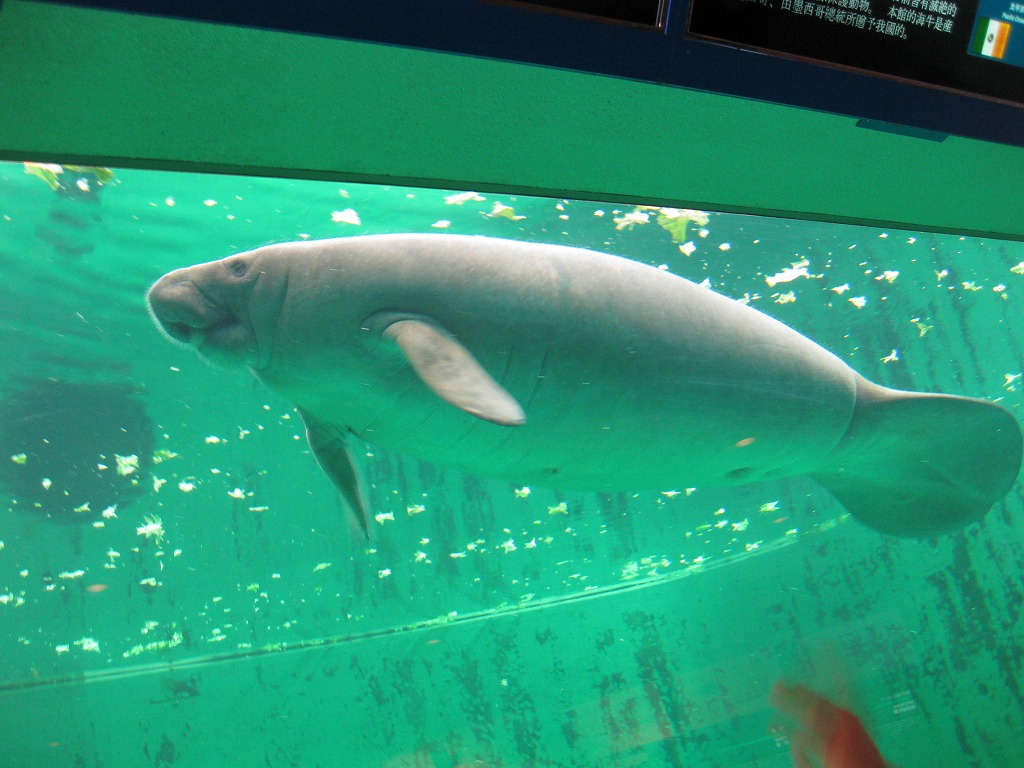 d0082970_2317720.jpg