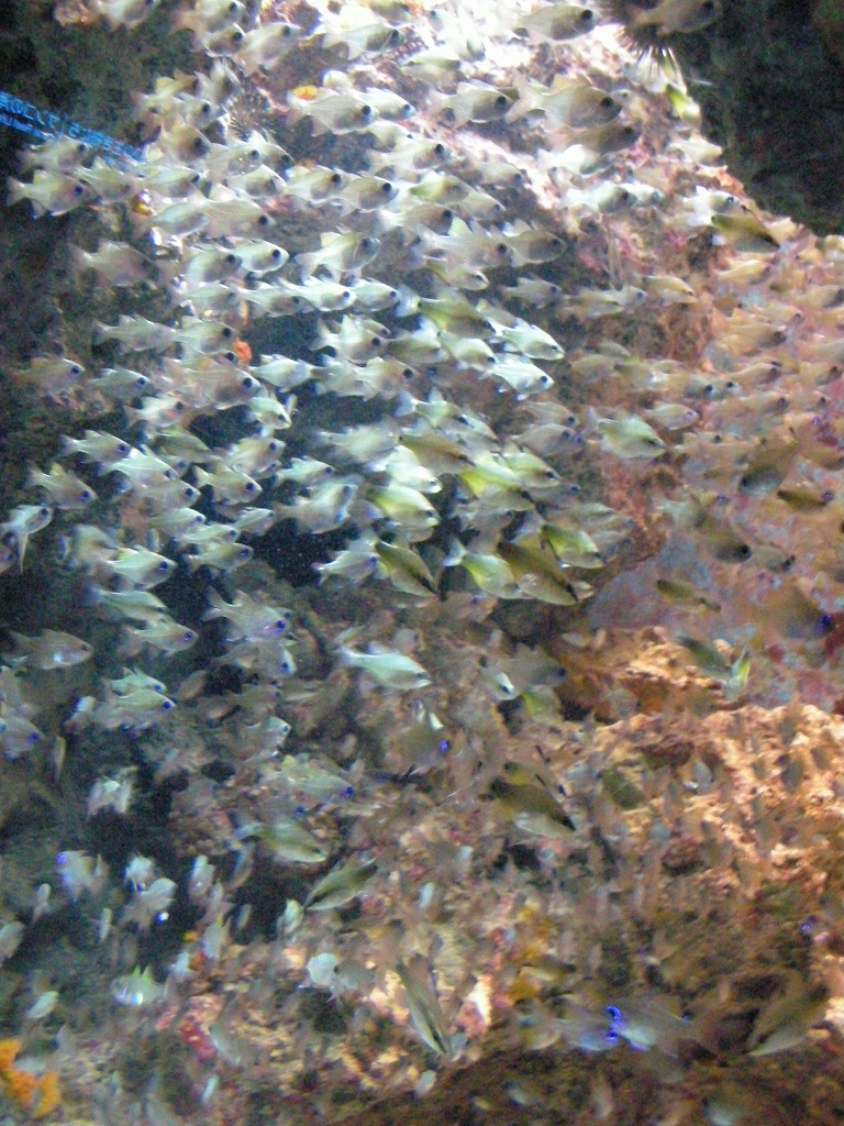 d0082970_2321632.jpg