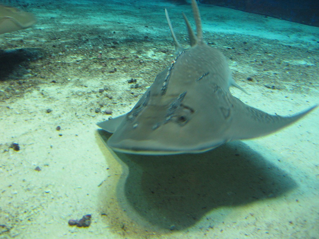 d0082970_2383973.jpg