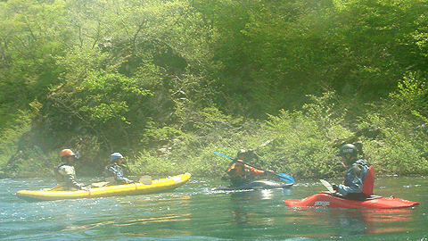 f0161874_1959631.gif