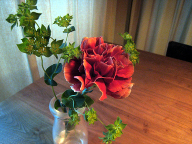 f0196374_5533190.jpg