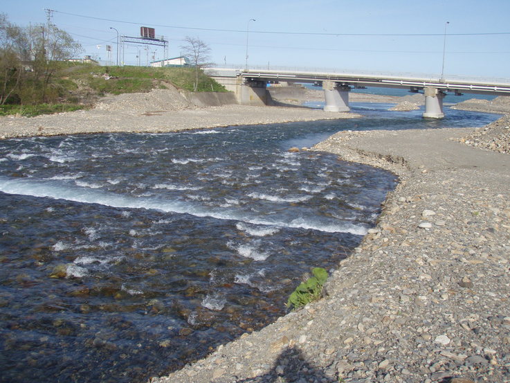 a0169776_17271666.jpg