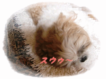f0213476_341287.gif