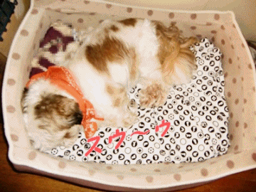 f0213476_3415435.gif