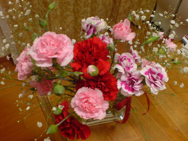 b0046478_22323990.jpg