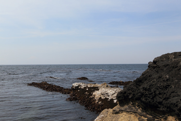 c0008378_911338.jpg