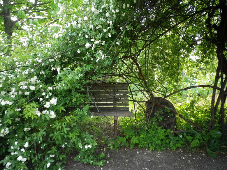 f0178381_14471769.jpg