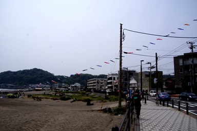 d0080882_18411246.jpg