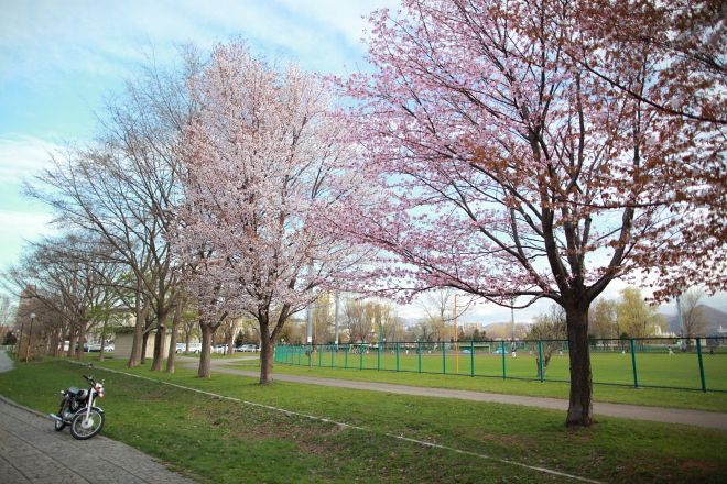 f0163583_2210326.jpg