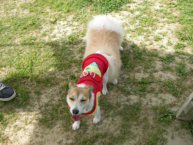 c0214384_1514381.jpg