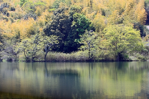 e0190885_2065035.jpg