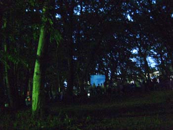 f0088586_19251141.jpg