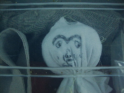 e0150087_21375623.jpg