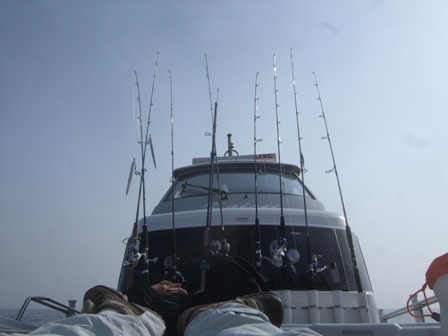 f0106190_01742.jpg