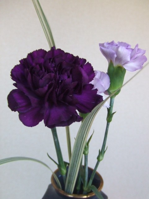 f0140491_0521515.jpg