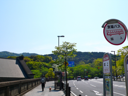 a0079292_13535758.jpg