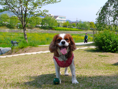 a0079292_1425911.jpg
