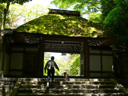 a0079292_1472653.jpg