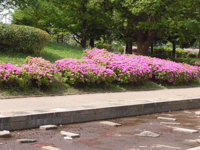 b0120492_19402782.jpg