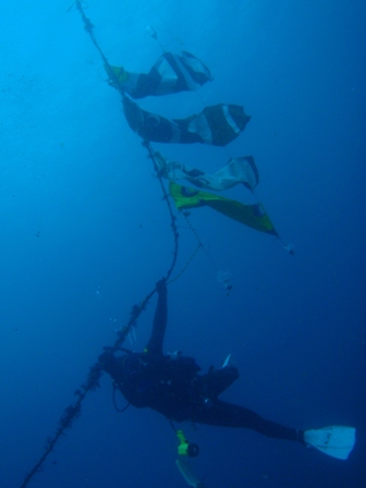 f0180993_2057225.jpg