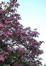 f0224393_23295941.jpg