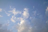 f0224393_2329996.jpg