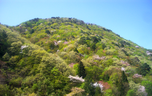 b0099994_1631789.jpg