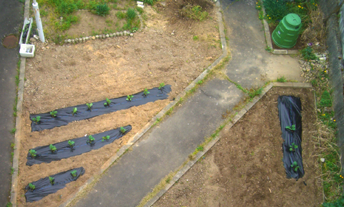 b0099994_16321164.jpg