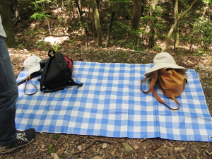 f0103797_14194670.jpg