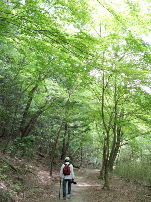 f0103797_142209.jpg