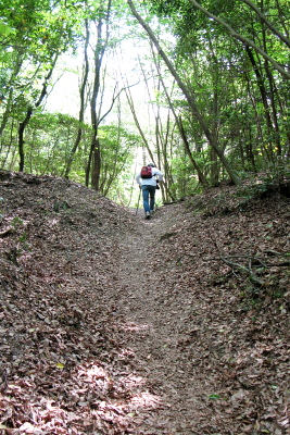 f0103797_1472869.jpg