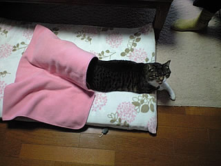 c0035001_13242927.jpg
