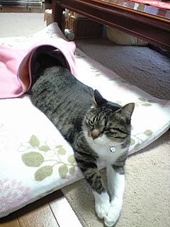 c0035001_13245772.jpg