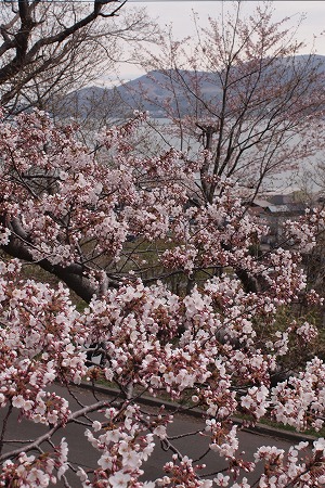 c0202705_2033946.jpg