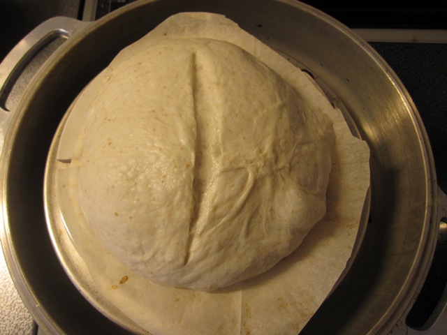 f0159406_1229597.jpg