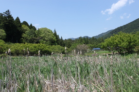 a0147507_2264868.jpg
