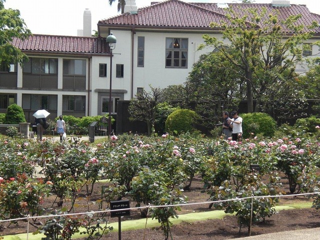 c0178008_20494226.jpg
