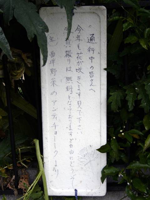 f0167310_21264360.jpg