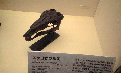 b0068615_3163812.jpg