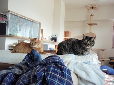 c0145016_2015395.jpg
