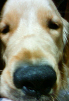 e0140616_11293562.jpg