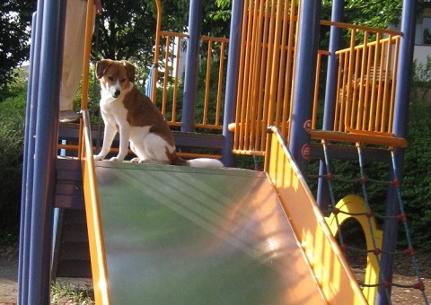 c0084117_18123375.jpg