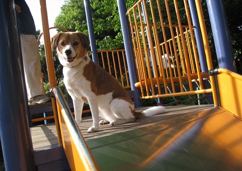c0084117_1824135.jpg