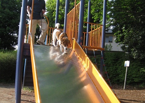 c0084117_18251312.jpg