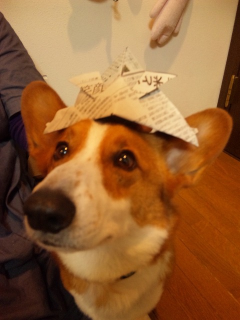 c0127617_18193027.jpg
